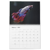 Bettafish 2025 kalender (Feb 2027)