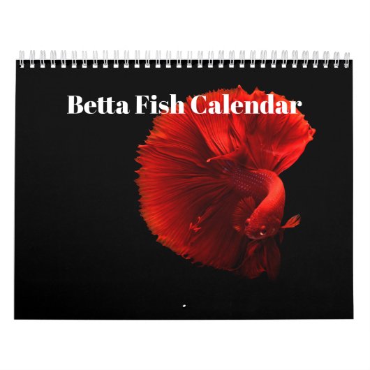 Bettavis Kalender (Hoes)