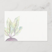 Betterave Biologique | Carte d'Information Aquarel (Dos)