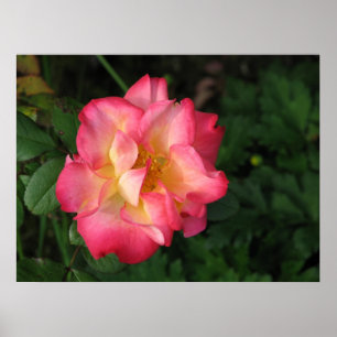 Betty Boop - 24 mei 2009 139 Poster
