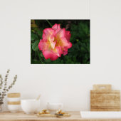 Betty Boop - 24 mei 2009 139 Poster (Keuken)