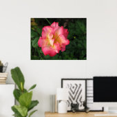 Betty Boop - 24 mei 2009 139 Poster (Thuiskantoor)