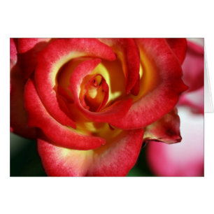 Betty Boop s'est levée