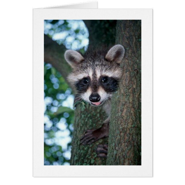 betwijfel (Voorkant)