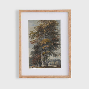 Beukenboom, man, runderen en schapen,  poster