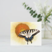 Beurre ailes, carte postale (Debout devant)