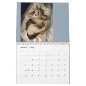 Beurre-boule Kitten : Calendrier 2024 (Jan 2026)