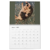 Beurre-boule Kitten : Calendrier 2024 (Mar 2027)