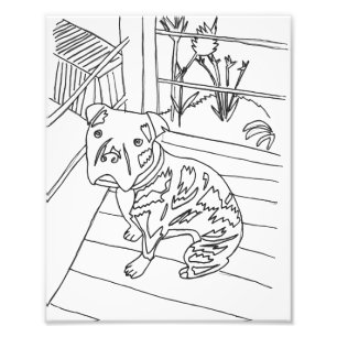 Bev the Pup Print Foto Afdruk