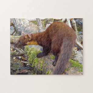Bevallig dennenbos met boommarter natuurtafereel legpuzzel