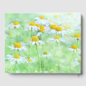 Bevallige Daisy, Script Lettertype Gastenboek (Achterkant)