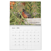 Bevederde Vrienden - Wilde Vogels Kalender (Mar 2026)