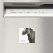 Beveiliging en comfort magneet (Insitu (Vaatwasser))