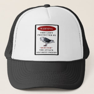 BEVEILIGINGSPIEGORIE DEBYTER LOFT TRUCKER PET