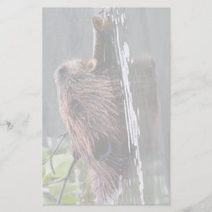 bever briefpapier