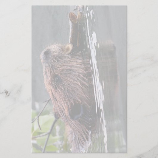 bever briefpapier (Voorkant)