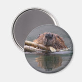 bever magneet (Voorkant / Achterkant)