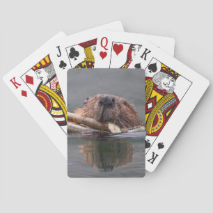 bever pokerkaarten