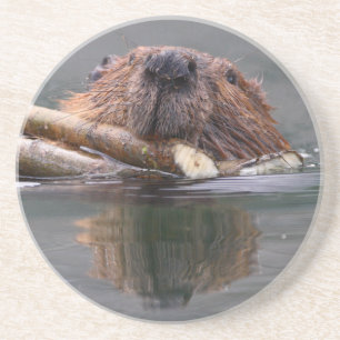 bever zandsteen onderzetter