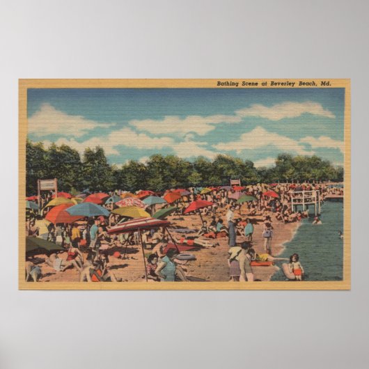 Beverley Beach, MD - Sunbathing Scene Poster (Voorkant)