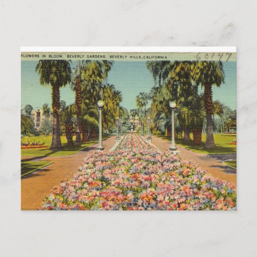 Beverly Hills Flowers Briefkaart (Voorkant)