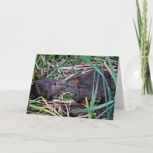 Bevers zoenen foto kaart (Voorkant)