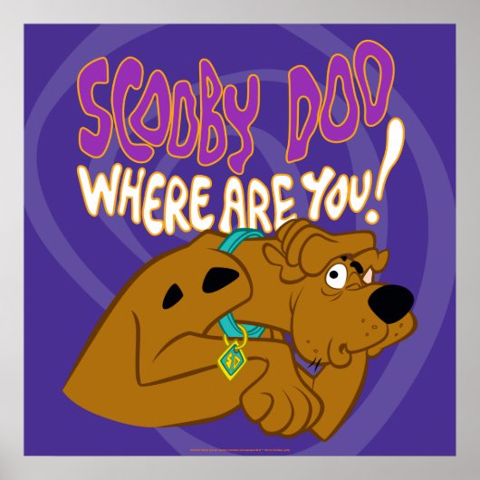 Bevriesde Scooby-Doo Poster (Voorkant)