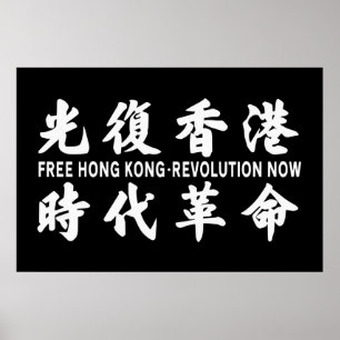 Bevrijd nu de revolutie in Hong Kong! Poster