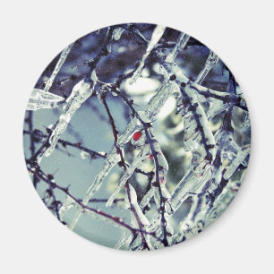 Bevroren Berry Magnet Magneet