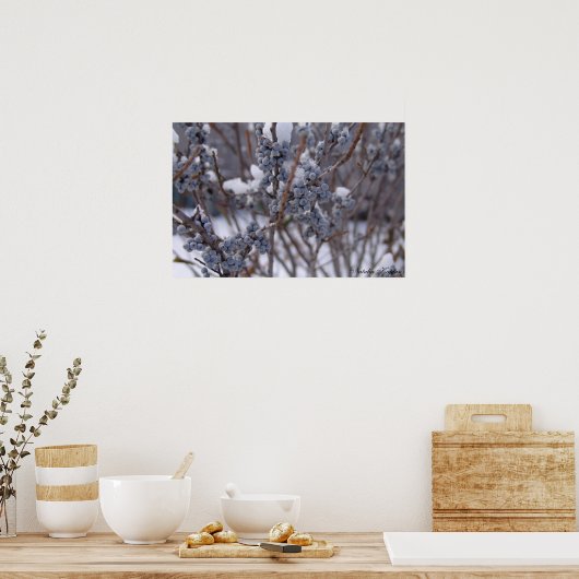 Bevroren bessen poster (Keuken)
