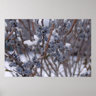 Bevroren bessen poster