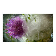 Bevroren Bloesems,