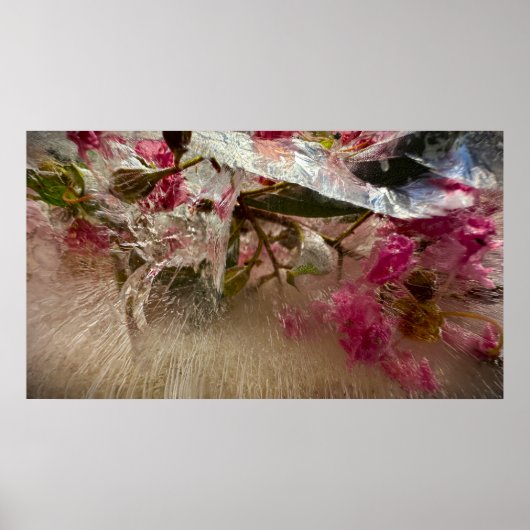 Bevroren Bloesems, Poster (Voorkant)