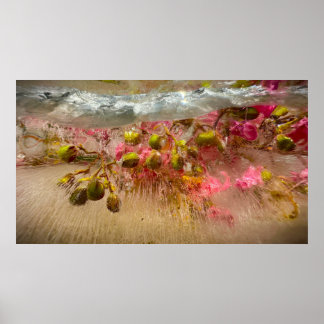 Bevroren Bloesems, Poster