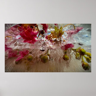 Bevroren Bloesems, Poster