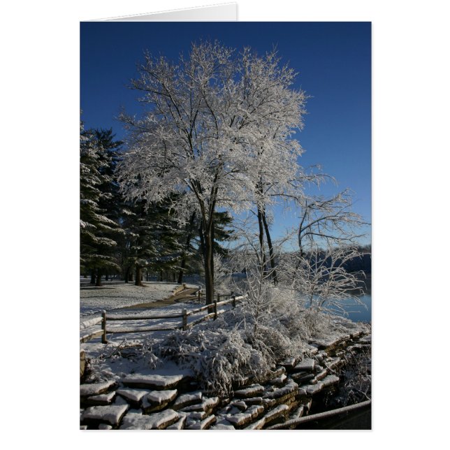 Bevroren bomen (Voorkant)