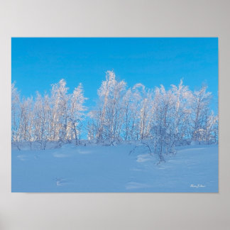 Bevroren Bomen Poster