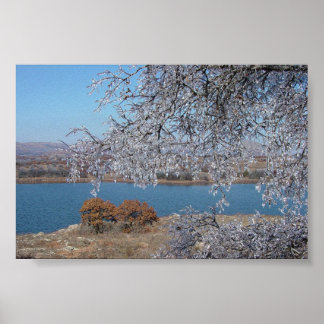 Bevroren bomen poster