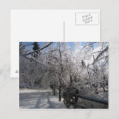 Bevroren Briefkaart (Voorkant / Achterkant)