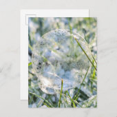 Bevroren bubbels briefkaart (Voorkant / Achterkant)