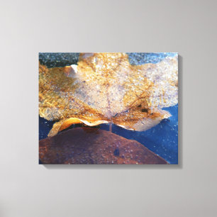 Bevroren Gele Esdoornblad Herfst Natuur Canvas Afdruk