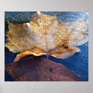 Bevroren Gele Esdoornblad Herfst Natuur Poster