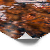 Bevroren herten meer. perfect poster (Hoek)