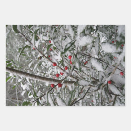 Bevroren Inpakpapier Vel