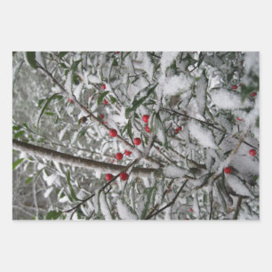 Bevroren Inpakpapier Vel