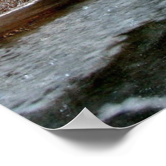 Bevroren kreek poster (Hoek)