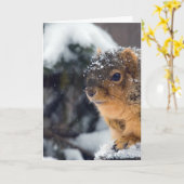 Bevroren noten worden snel beter kaart (Gele Bloem)