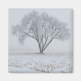 Bevroren op een eenzame boom magneet