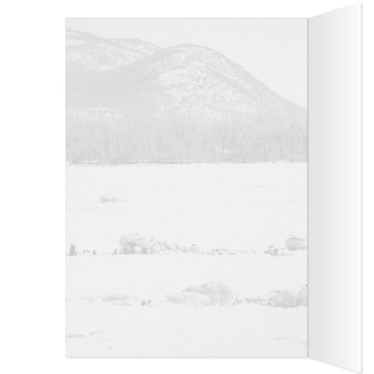 Bevroren rivier (Binnen (Links))