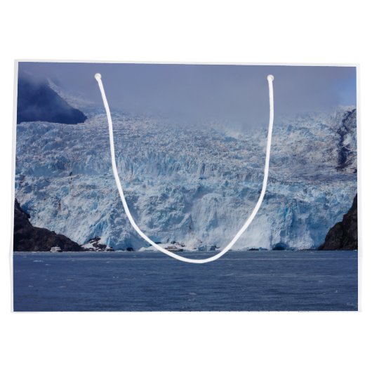 Bevroren schoonheid groot cadeauzakje (Achterkant)